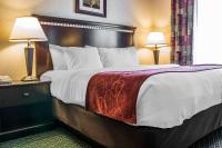 Comfort Suites Canton - Detroitにあるベッド