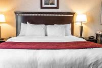 Comfort Suites Canton - Detroitにあるベッド