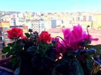 A general view of Nápoly or a view of the city taken from Az apartmant