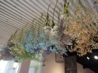 a bunch of flowers hanging from a ceiling at Brulee&#39;s Done in Dongshan