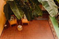 Vonkajšia záhrada v ubytovaní La Casona Beach House