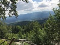 Príroda v okolí apartmánu