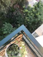 A garden outside Stefanias sunny Acropolis Studio on Drakou pedestrian
