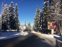Borovets Villa Park studio v zimě