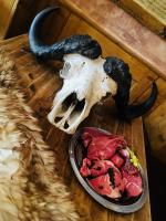 Φαγητό σε αυτός ο ξενώνας ή κάπου εκεί κοντά