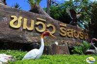 Tiere im Resort oder in der Nähe