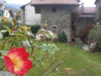 A garden outside Canton d'Antan