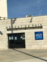 Půdorys ubytování Estudios Ramón Llull