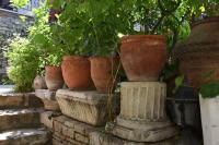 A garden outside Villa Konak Hotel