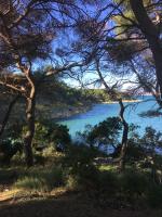 - Vistas al río a través de un grupo de árboles en Single rooms in the heart of Split, en Split