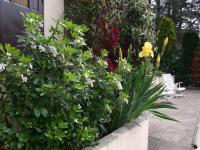 a garden with flowers and a bench next to a building at Pavillon Kalensa in Vals-les-Bains