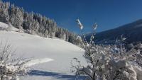 Bauernhof Burglehen v zime