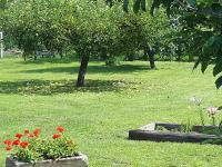 A garden outside Csóka Apartman Pápa