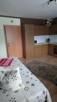 Kuchnia lub aneks kuchenny w obiekcie Haus Wastl