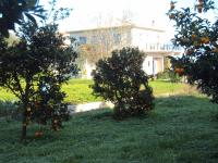 Vonkajšia záhrada v ubytovaní Villa Nostos