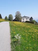 a house on a hill with a field of flowers at Haus Homann in Sulzberg