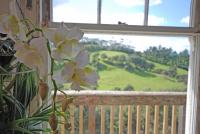 Freshwaterfarm Cottages - Muriwaiにある庭