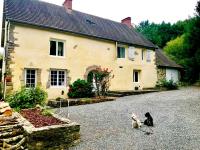 a cat and a dog sitting in front of a house at La Bichurie in Feugères