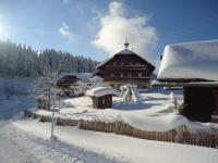 Pension-Greimelbacherhof during the winter