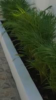 Půdorys ubytování TERRAZAS DEL CARIBE, APARTA HOTEL.