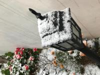 Hanok Guesthouse Suni im Winter