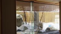 冬のTabist 風雪の様子