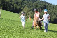 a group of children wearing helmets riding a pony in a field at Bio Ferienbauernhof Greber in Schwarzenberg