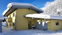 Karwendelgold under vintern