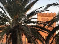 Půdorys ubytování Hotel Avenida Playa