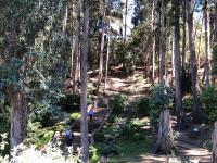 Hotel Bosque de Reñacaにある庭