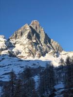 una montaña cubierta de nieve con árboles en el primer plano en Sweet Apartment, en Breuil-Cervinia