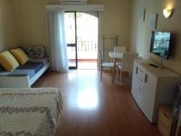 TV a/nebo společenská místnost v ubytování Apartamentos Leziria