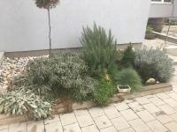 Vonkajšia záhrada v ubytovaní Studio apartman Valentina