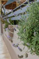 Plán poschodí v ubytovaní Aromatic Home