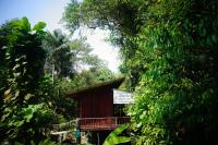 una pequeña cabaña en medio de árboles en Wooden Hut Koh Kood, en Ko Kood