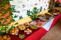 ピパにあるLAGO HOTEL PIPA - TlBAU DO SULのテーブル