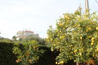 Zahrada ubytování Helen's Sounio Apartments