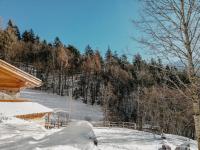 Odomi Maso nel Bosco v zime