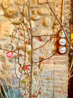Půdorys ubytování Hotel Masia La Palma
