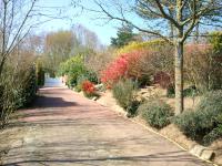 a path in a garden with flowers and trees at Mas du Trezon in Cholet