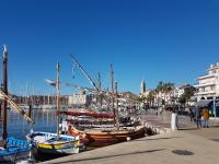 un groupe de bateaux amarrés dans un port de plaisance dans l&#39;établissement Résidence les rivages de la coudouliere, à Six-Fours-les-Plages