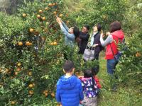 &#x5165;&#x4F4F;&#x9CF3;&#x59CA;&#x838A;&#x5712;&#x6C11;&#x5BBF; &#x7684;&#x65C5;&#x5BA2;