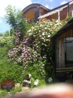 A garden outside Gästeapartement Schlossblick