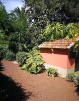 Zahrada ubytování Jardines de Hortensia - Vacation home Tenerife