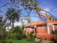 Zahrada ubytování Jardines de Hortensia - Vacation home Tenerife