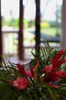 Te Ava Beach Villasにある庭