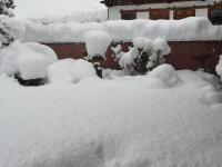 Obiekt Landhaus Hörhager zimą