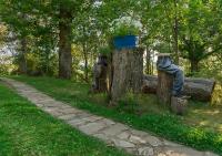Zahrada ubytování Cabañas de Madera Sanabria