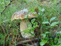 Plán poschodí v ubytovaní Locanda La Ruscoletta