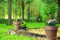 three potted plants in a yard with a fence and trees at Yourtes de Gascogne in Lannes